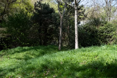 Parc du Limancet St Medard mini coline.